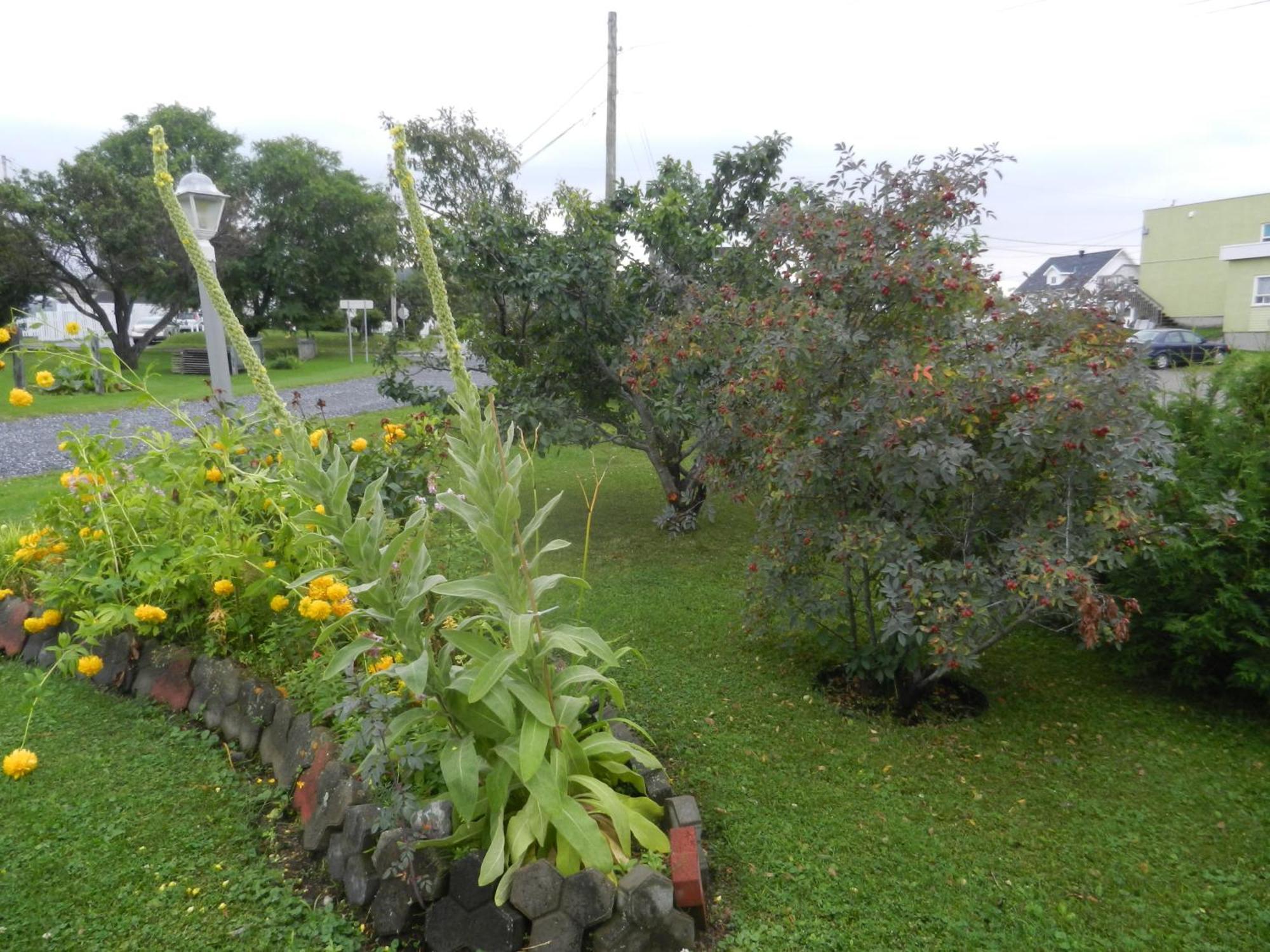 Gite La Ptite Falaise Hebergement Touristique Sainte Anne des Monts Room photo