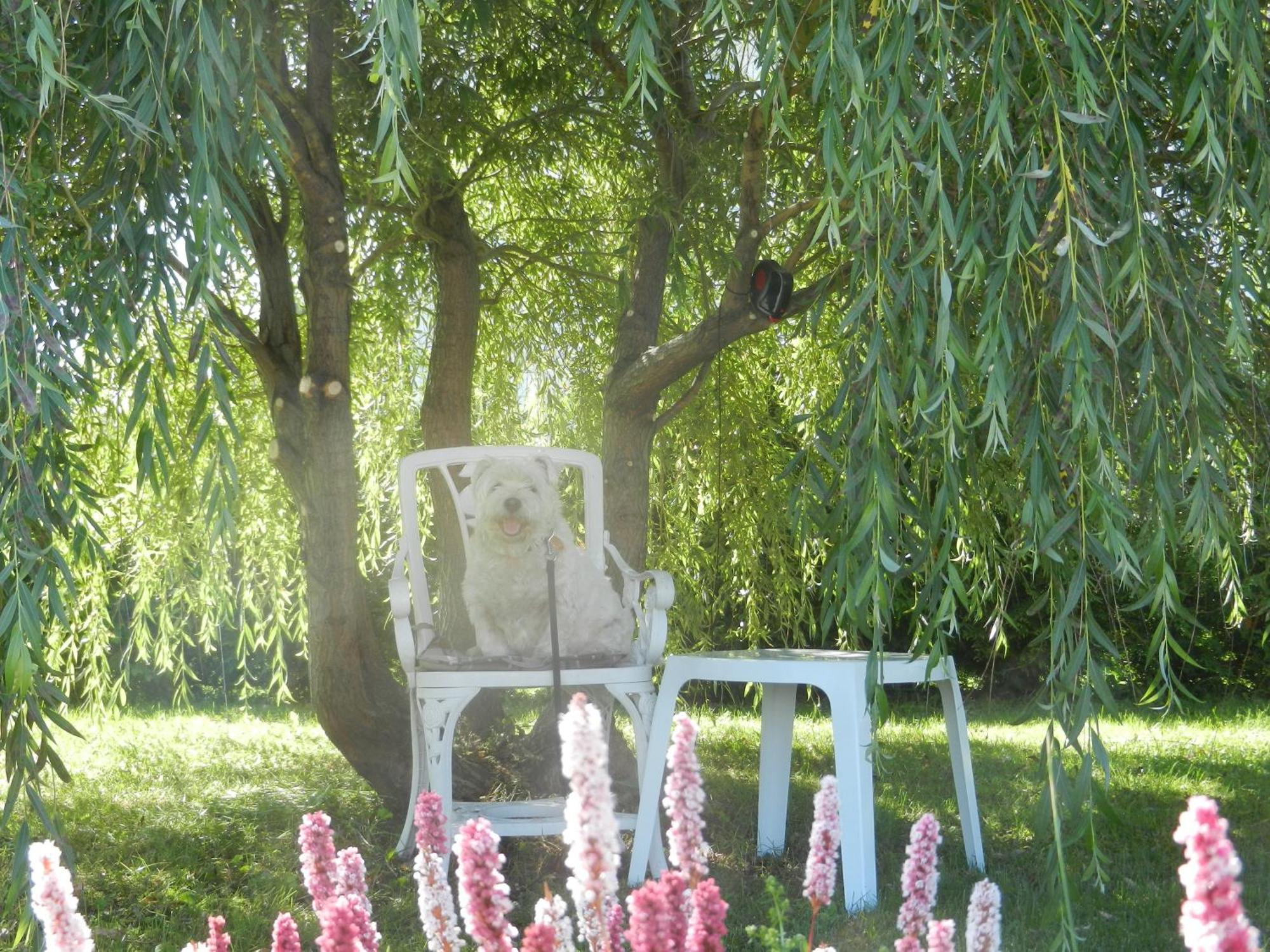 Gite La Ptite Falaise Hebergement Touristique Sainte Anne des Monts Room photo