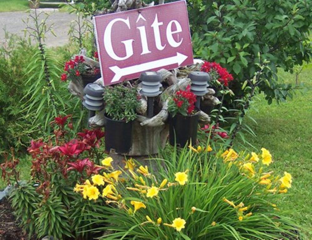 Gite La Ptite Falaise Hebergement Touristique Sainte Anne des Monts Exterior photo