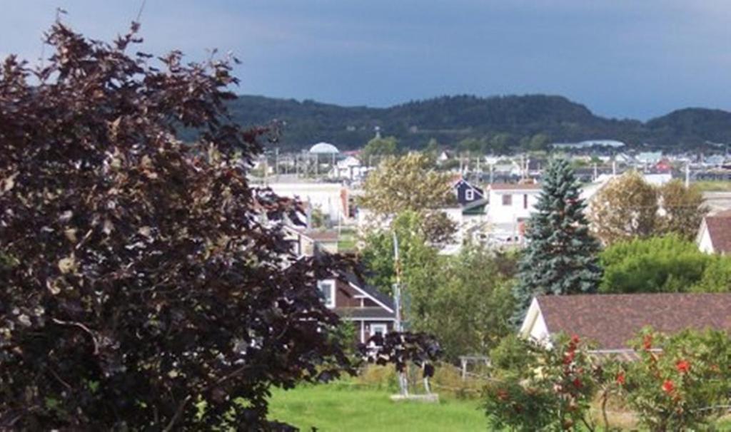 Gite La Ptite Falaise Hebergement Touristique Sainte Anne des Monts Exterior photo